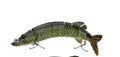 The classical multistage bionic lure