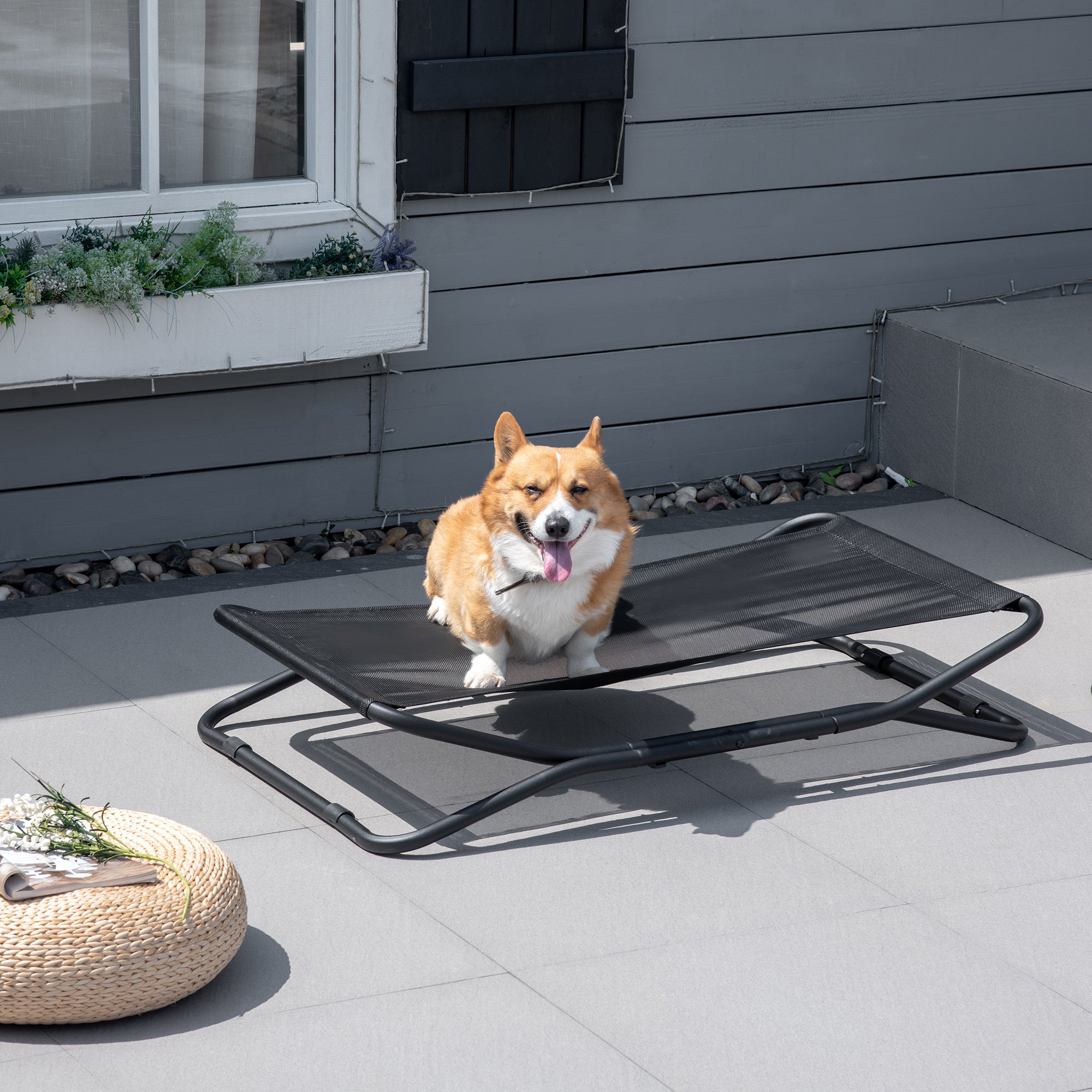 Elevated Dog Bed with Breathable Foldable Pet Cot with Heavy Duty Frame