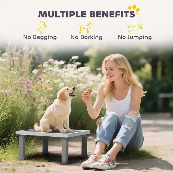 Wooden Dog Training Place Board, Dog Training Platform With Ladder, Pet Agility System For Indoor Outdoor