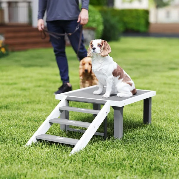 Wooden Dog Training Place Board, Dog Training Platform With Ladder, Pet Agility System For Indoor Outdoor